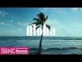 Hawaiian Music for Work and Study | Relaxing Beach Vibes