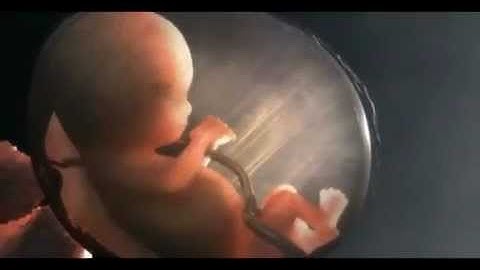 Animation Mentor - Progress Reel/Demo Reel