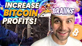 Increase Bitcoin Profits - Braiins firmware