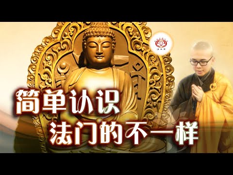 简单认识法门的不一样 👼  | 净本法师 主讲