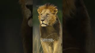 nossaCASA | National Geographic