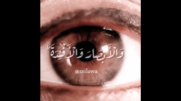 يَا لكَ مِن قارئٍ مَا جادَتِ الدّنيا بمثلِك!القارئ: شريف مصطفى تلاوة قصيرة
