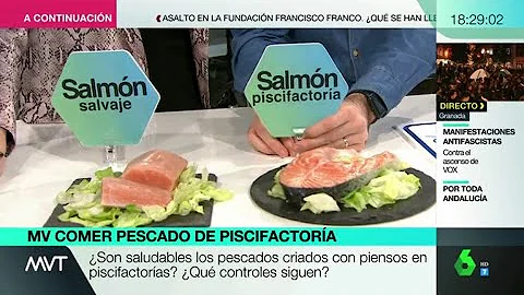 ¿Es mejor el salmón de piscifactoría que el salvaje?