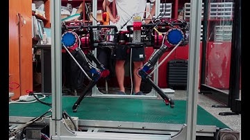 [PongBot-Q] Trotting test