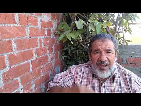 مامعنى الغبطه