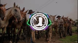 MODÃO DE VIOLA PARA CHURRASCO [ MODA CAIPIRA]《Modão Sertanejo Bruto》