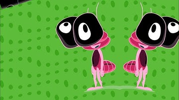 Bob Zoom Count Sponsored by Preview 2 Effects 