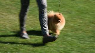 DSC 1349