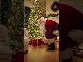 Adorable Pets Discover Their Christmas Presents