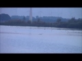 Vliegbeeld Zeearend