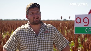 Sorghum Cluster Initiative in the Field