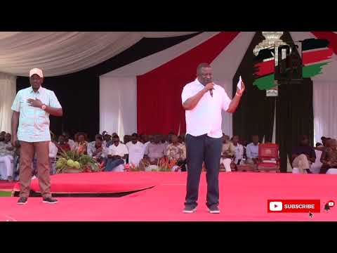 Over 200k Youth Have Applied For On The Job Experience Under Nyota Mvurya 