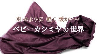 EZMA エズマ ベビーカシミヤ ストール