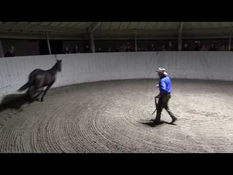 Monty Roberts explains Join-Up® with Equus, the horse