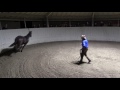 Monty roberts explains joinup with equus the horse