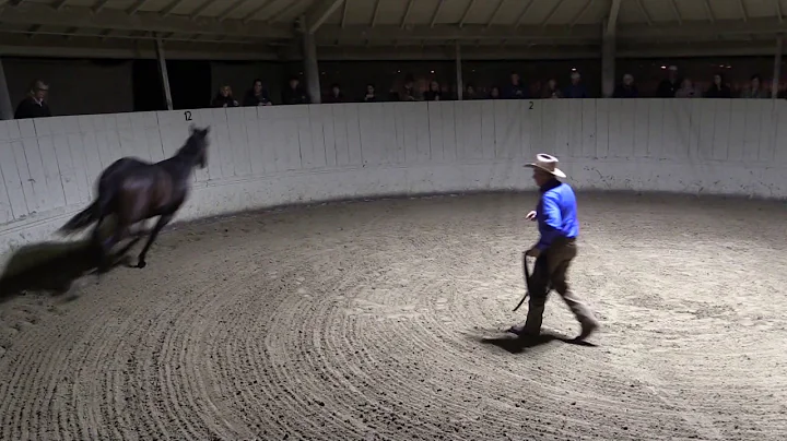 Monty Roberts explains Join-Up with Equus, the horse