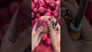 How to cut a Pomegranate fruit fruitgarden