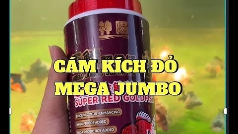 Cám kích đỏ Mega Jumbo - hạt chìm - hạt nổi - cho cá vàng, cá chép