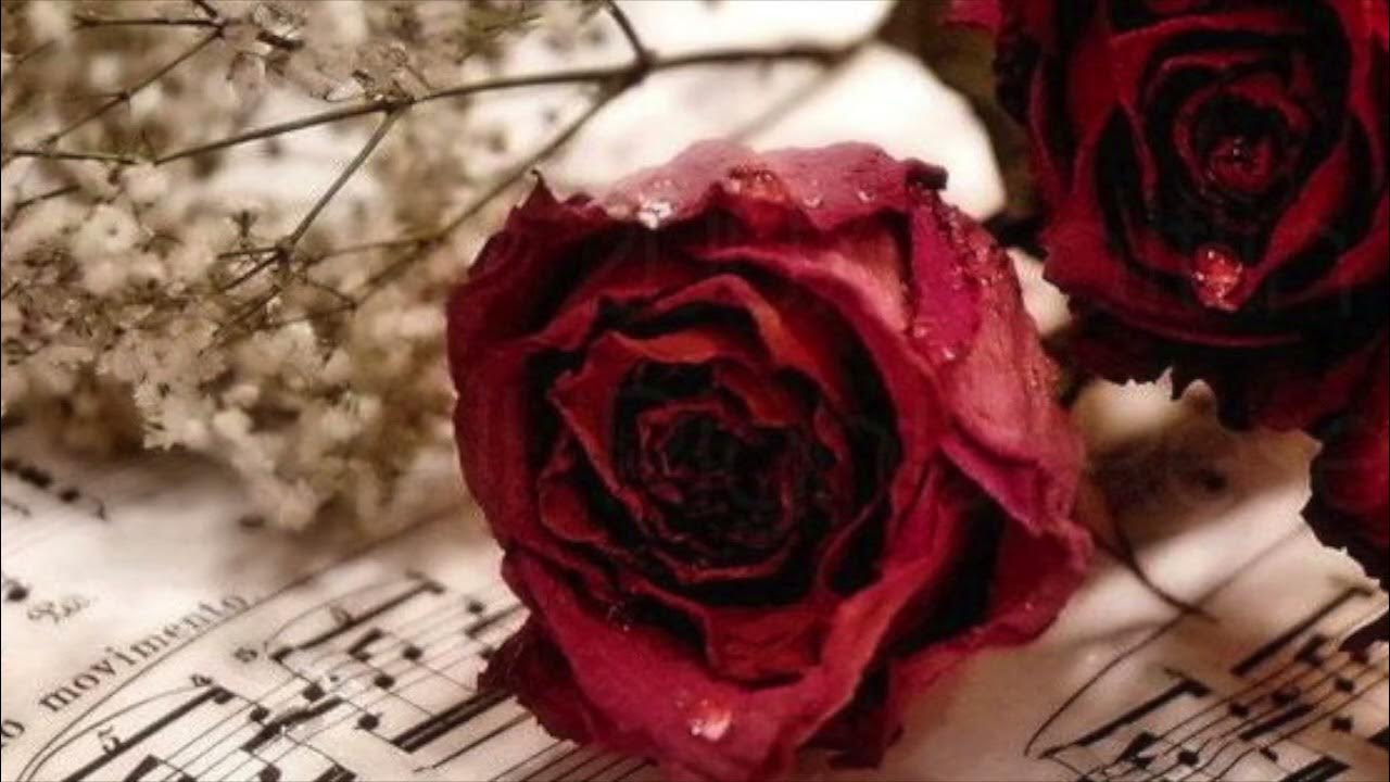 Milonga del 900 - Francisco Canaro - Ernesto Famá - (1933) Milonga del 900 - Francisco Canaro - Ernesto Famá - (1933)