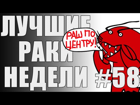 Видео: ЛРН выпуск №58. САМЫЙ НЕЗАМЕТНЫЙ КОЛОБАНОВ и ПОЛЕТ ШМЕЛЯ [Лучшие Раки Недели]