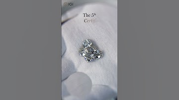 IGI | Importance of certification