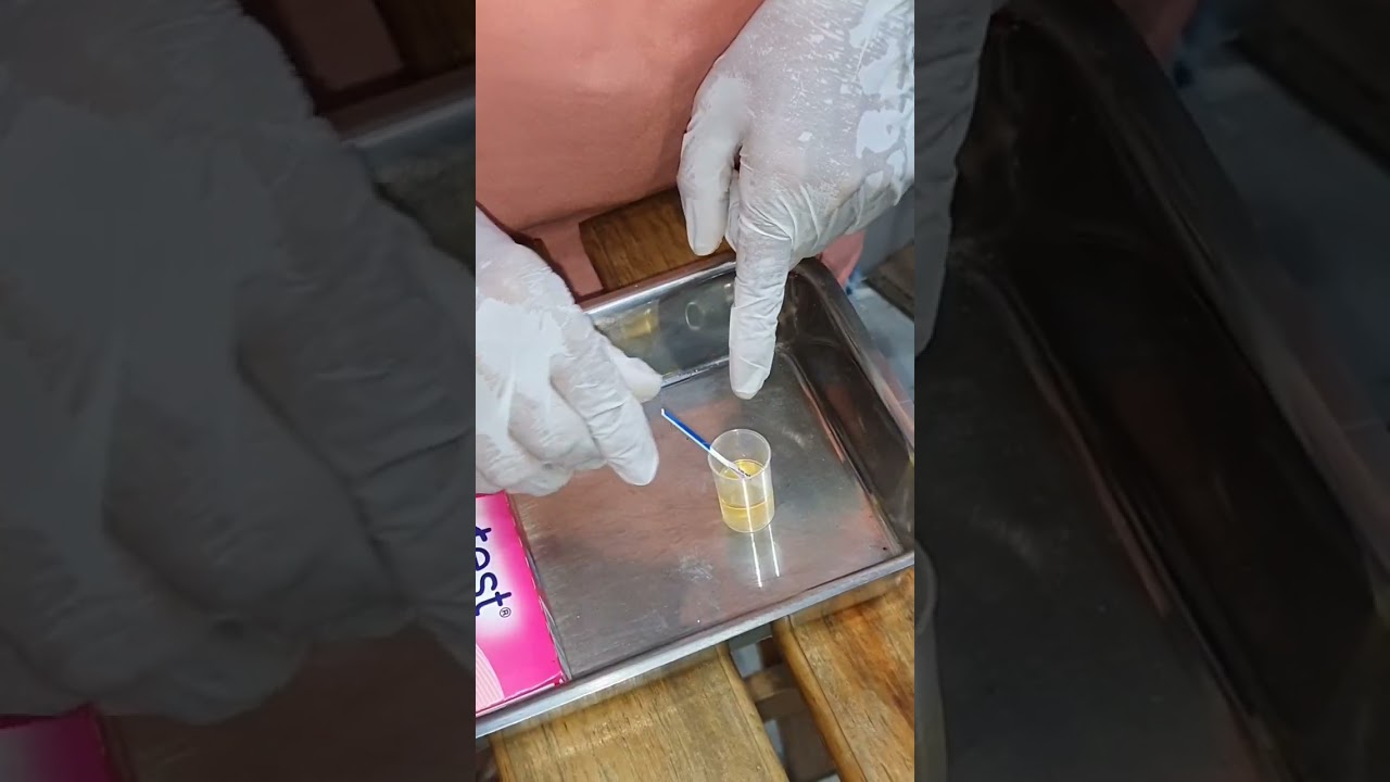 Como Fazer o Teste de Gravidez