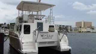 Endeavour Trawler Cat 40 "MiLilly" catamaran