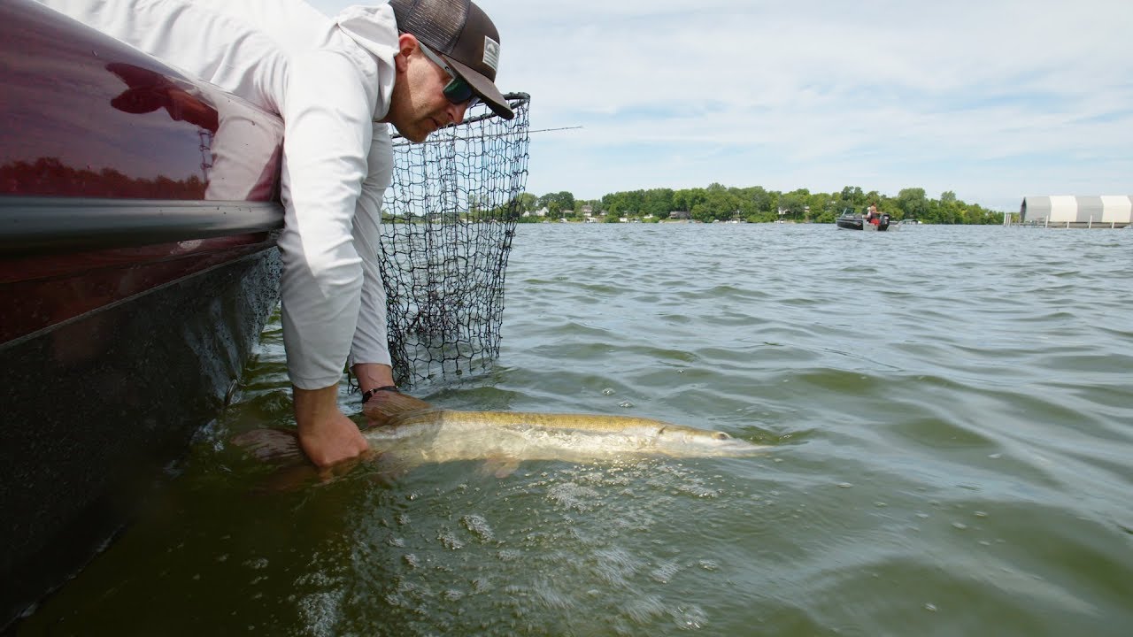 Shallow Water Muskies - Go Angling E25
