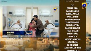 Shaidai Episode 12 13 14 New Promo Teaser Prediction By New Gossips | Shaidai Episode 12 | Review