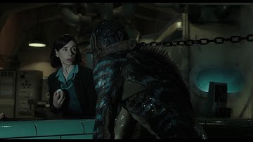 The Shape Of Water I Trailer 2 [Khởi chiếu 02.02.2018]