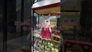 Alguien Debe Un Ternurin