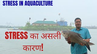 Fish Farming म Stress कय हत ह? Main Cause खल गय