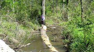 1. Lone Star Hiking Trail - Sections 1 and 2