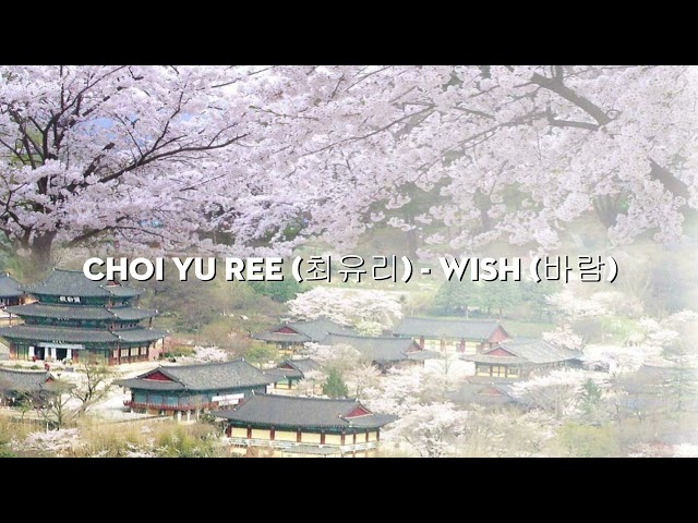 Choi Yu Ree - 최유리 || Wish 바람 || Flute Only 1 Hour class=