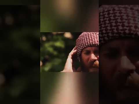 ستران شنكالئ غزالئ 