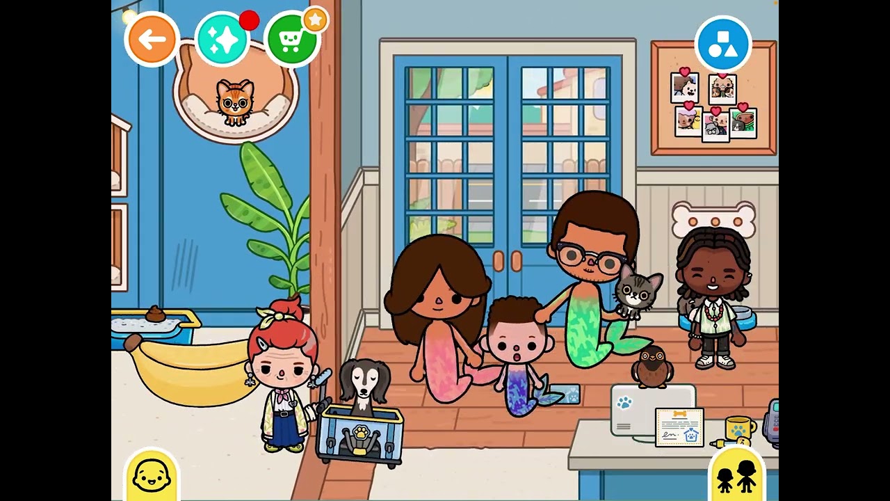 We found a lost kitten #3