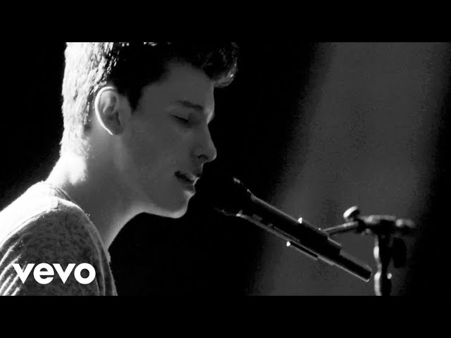 Shawn Mendes - Mercy (Official Acoustic) class=