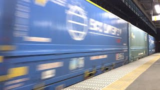 2021.6.3 貨物列車 EF66-132牽引 4076レ 宇都宮線 小山駅通過
