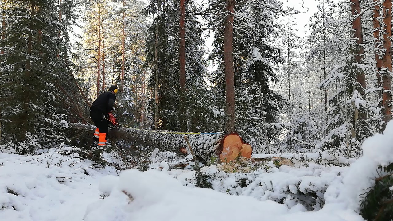 echo cs 4510 es logging