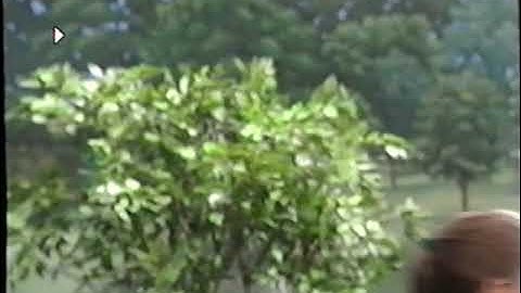 What A World We Share (2008 Version) Part 77