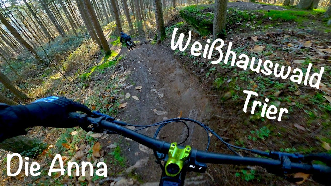 Weißhauswald Trier - Die Anna - Dezember 2022