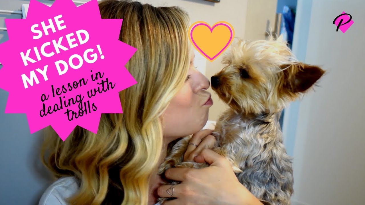 She Kicked My Dog! YouTube