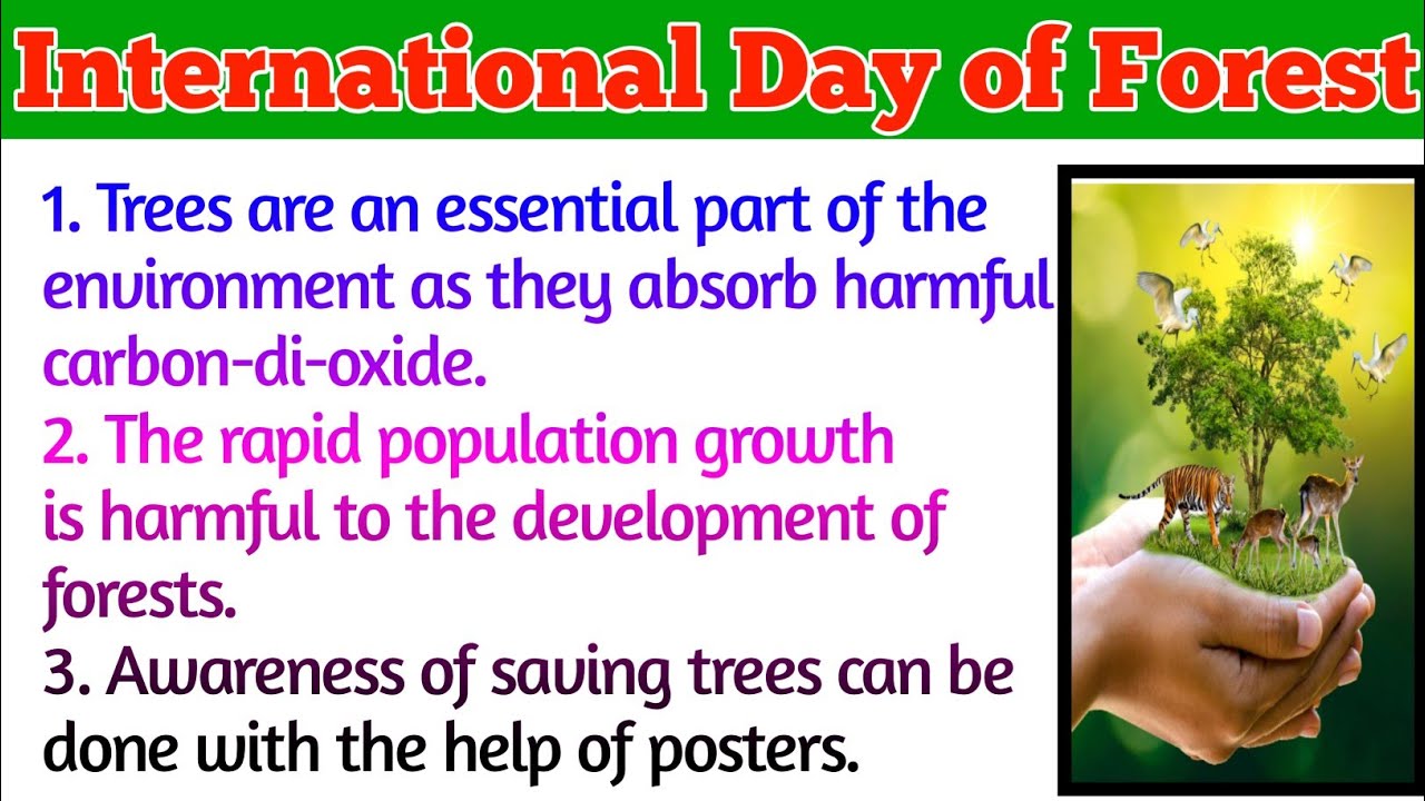 essay on international day of forest