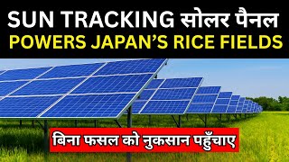 Japan’s Solar-Powered Rice Fields: How Agrivoltaics Are Changing Food and Energy Forever!