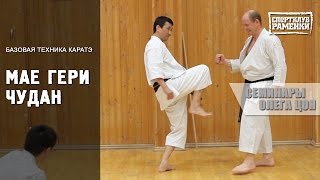 Каратэ Шотокан. Уроки Олега Цоя. Мае гери чудан Каратэ Шотокан. Уроки Олега Цоя. Мае гери чудан