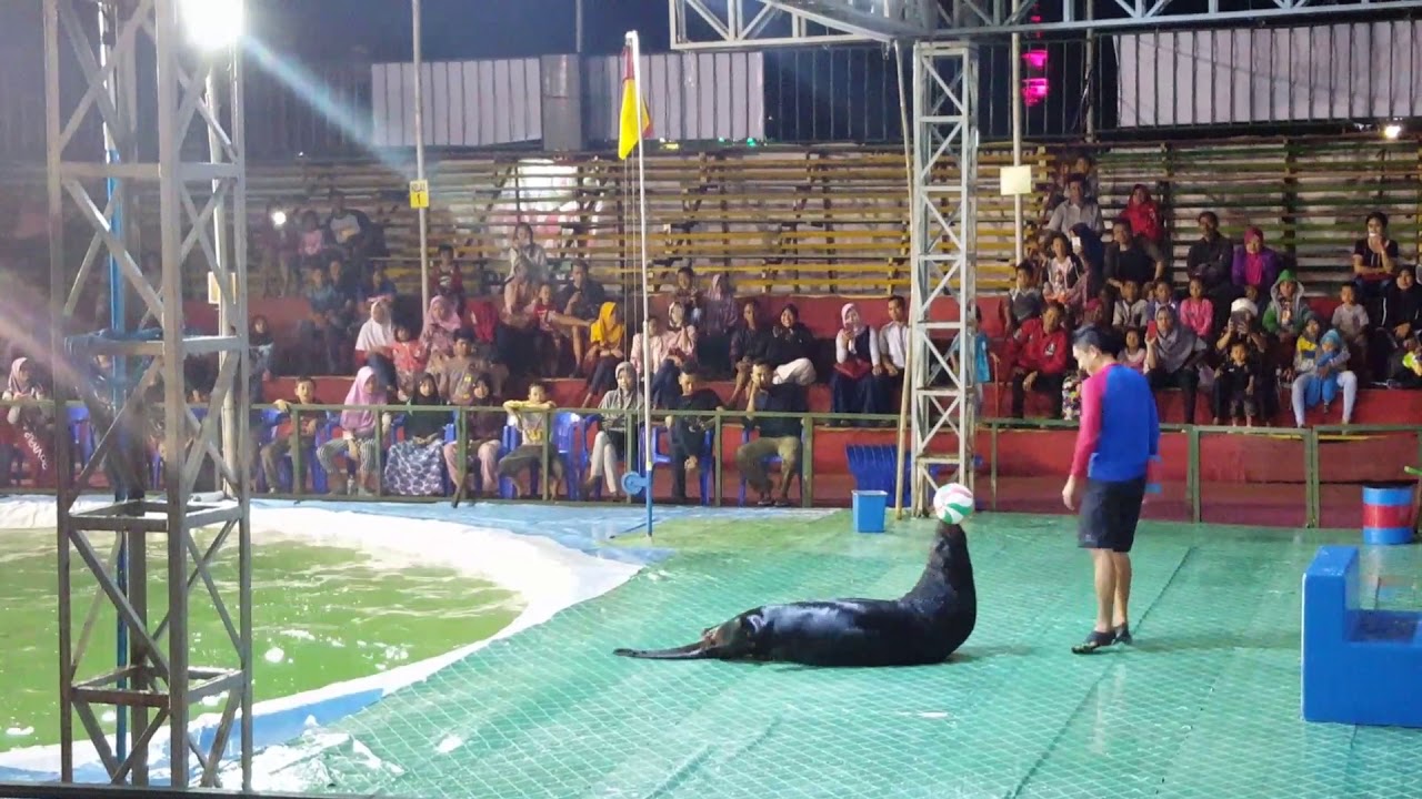 PENTAS LUMBA LUMBA & ANEKA SATWA DI LAPANGAN EX BATALION CILACAP 