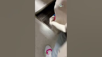 căn hầm bí mật