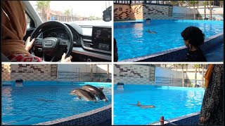 شديت طريق 🚗 لأكثر حاجة كتجيب سعادة 😁 مشيت حتال أكادير باش نشوف دلافين🐬🐬 بلاما تحتاج تمشي الفلبين 👍