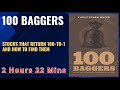 100 BAGGERS STOCKS THAT RETURN 100-TO-1 AND HOW TO FIND THEM By CHRISTOPHER MAYER