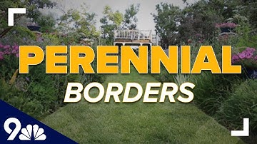 Tips for adding a perennial border to your garden